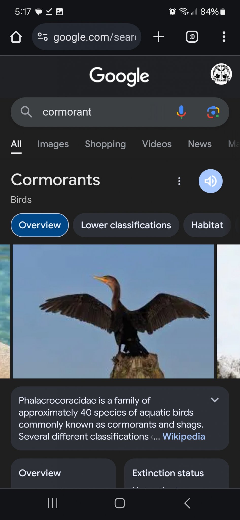 Screenshot_20240324_171706_Chrome.jpg