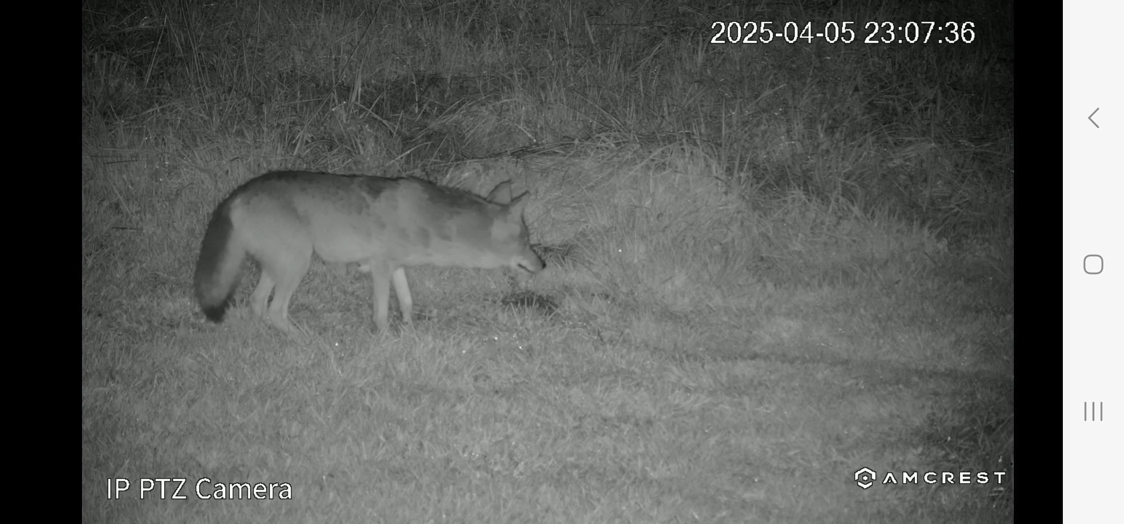 Screenshot_20250406_092313_DS cam.jpg