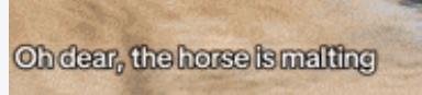 Screenshot_20250428-202552~2.png