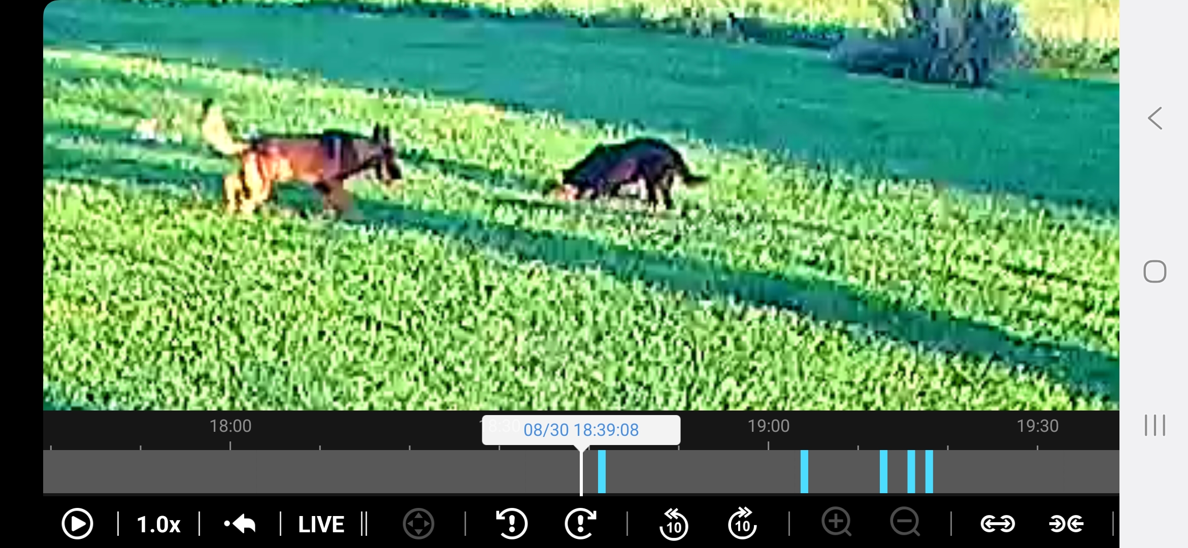 Screenshot_20250905_143701_DS cam.jpg