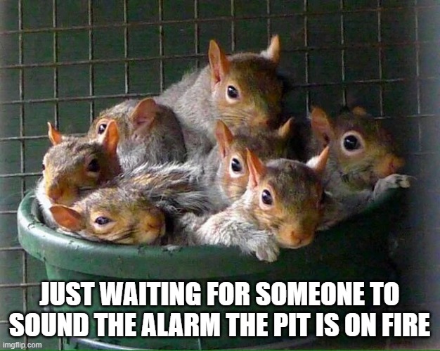 scurry1.jpg