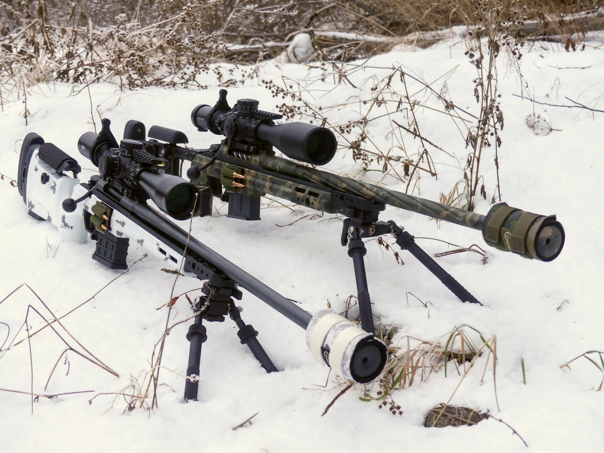 SD2.JPG