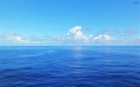 sea.jpg