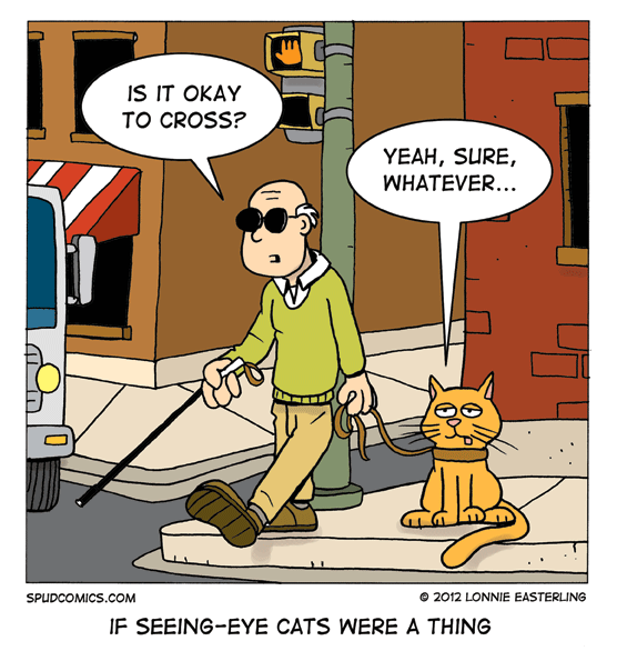 seeing eye.png