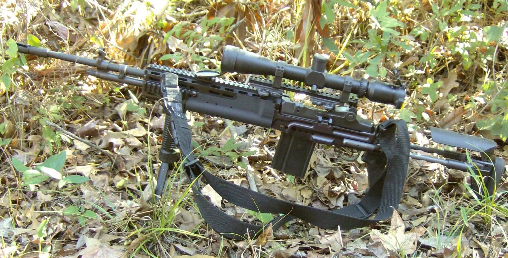 sei_ebr2_small.jpg