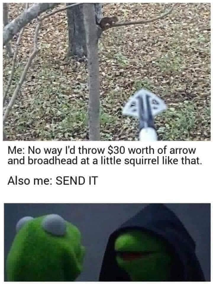 sendit.jpg