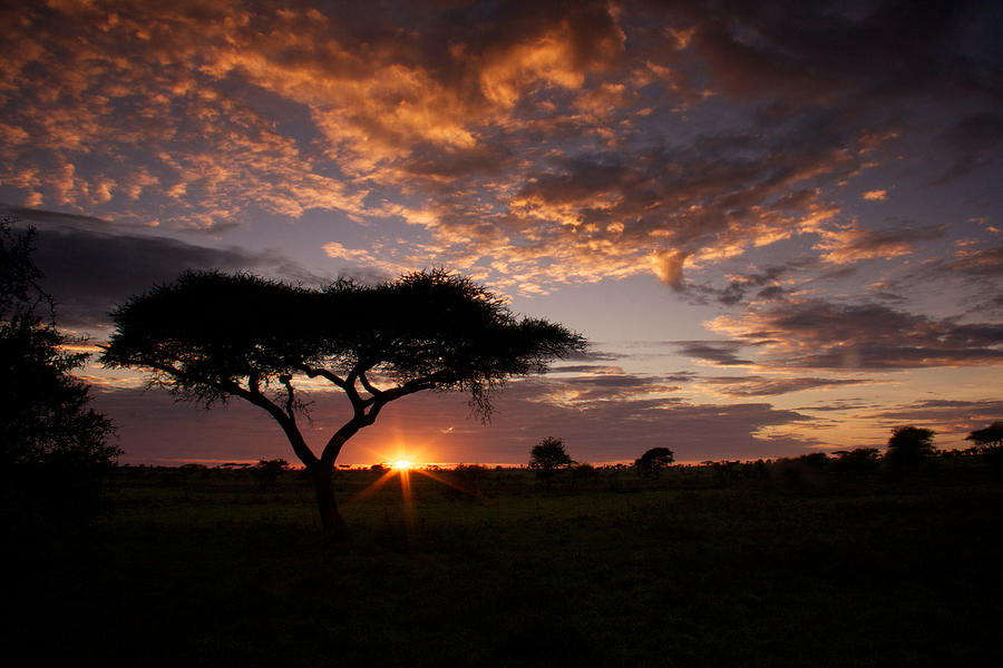 serengeti-sunrise-michael-underhill.jpg