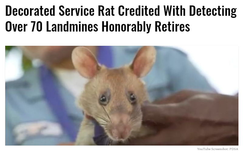 ServRat.png