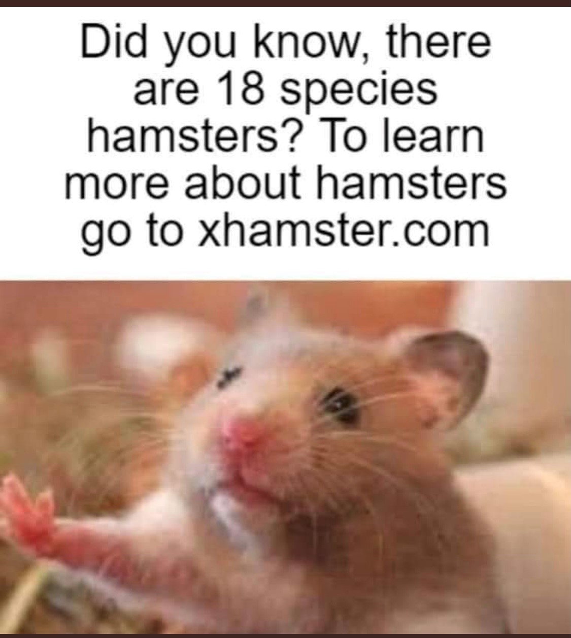 SFSFSFSFS.jpg