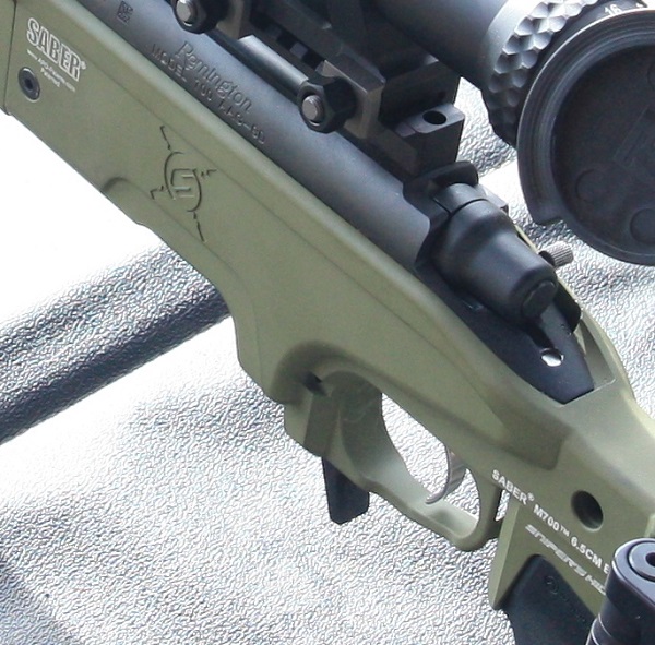 SH APO Rifle APRC 1 (6).JPG