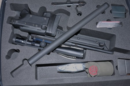 SH_FLG_Covert1-451x300.jpg