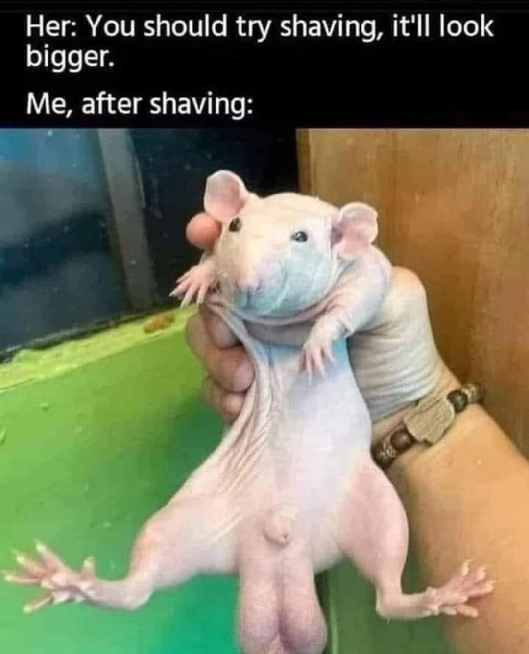 shave.jpg