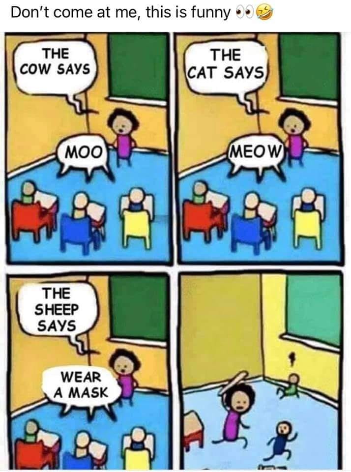sheep.jpg