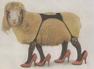 sheep020510.jpg