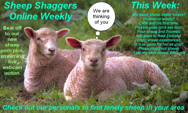 Sheep_shaggers_online_weekly.jpg