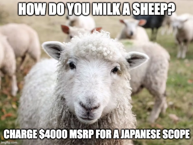 sheeple.jpeg