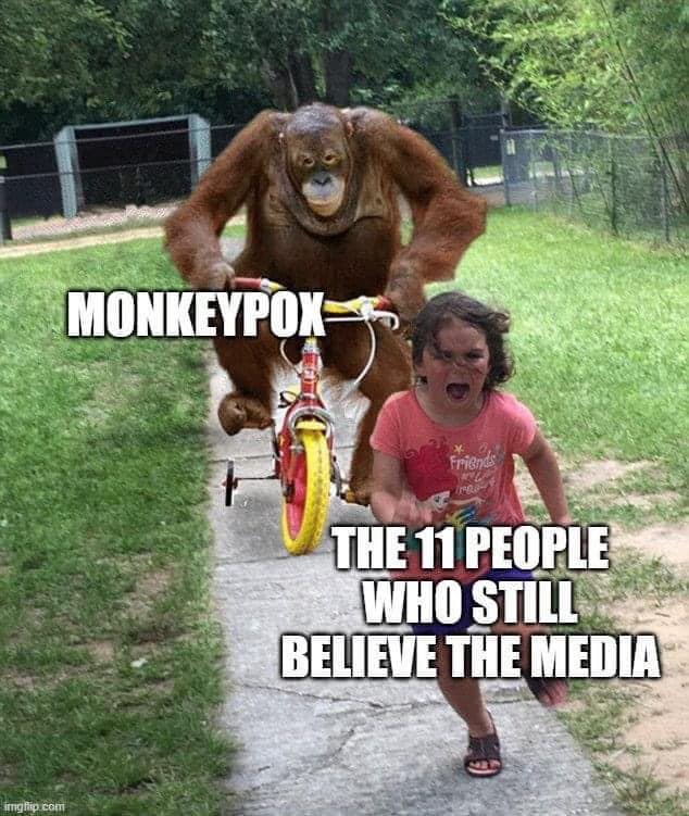 sheeple.jpg