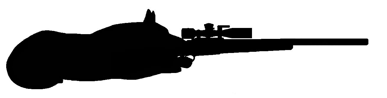 Shepherd Sniper back.jpg