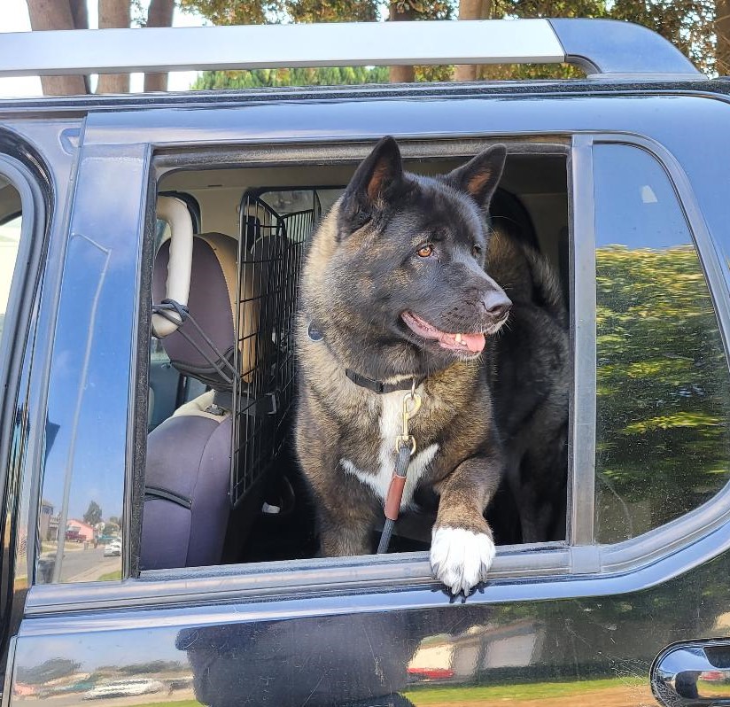 Shiloh_Sept2022.jpg