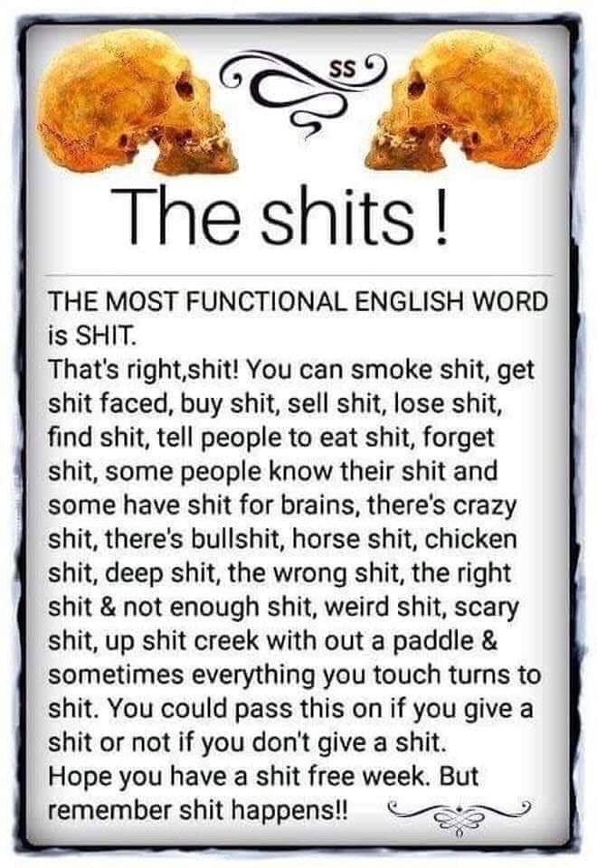 shit.jpg