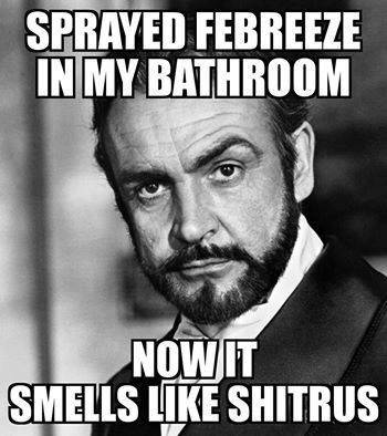 shitrus.jpeg