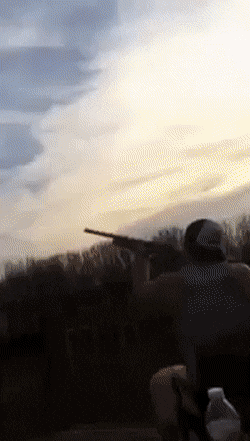 shot.gif