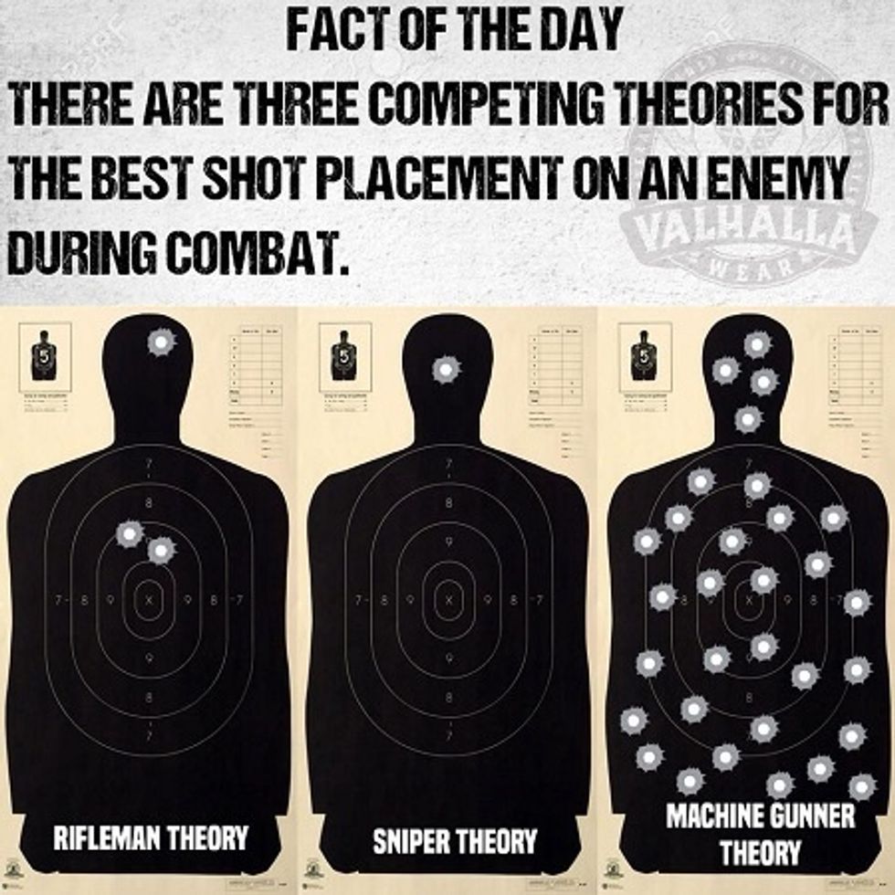 Shot placement theroy.jpg