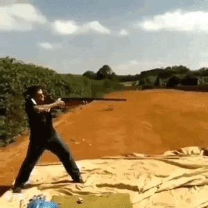 shotgun.gif