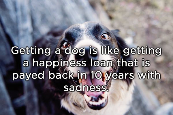 shower_thoughts_06.jpg