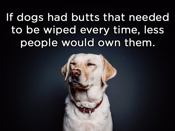 shower_thoughts_08.jpg