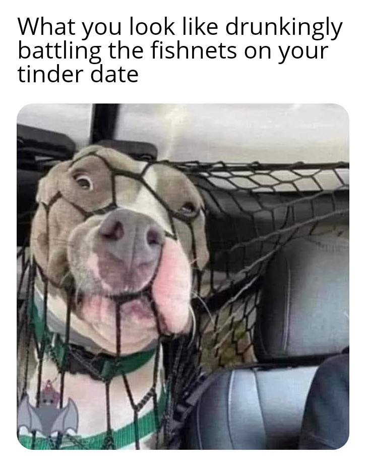 si4c5xuz9kz91.jpeg