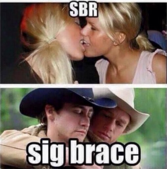 Sig brace.jpg