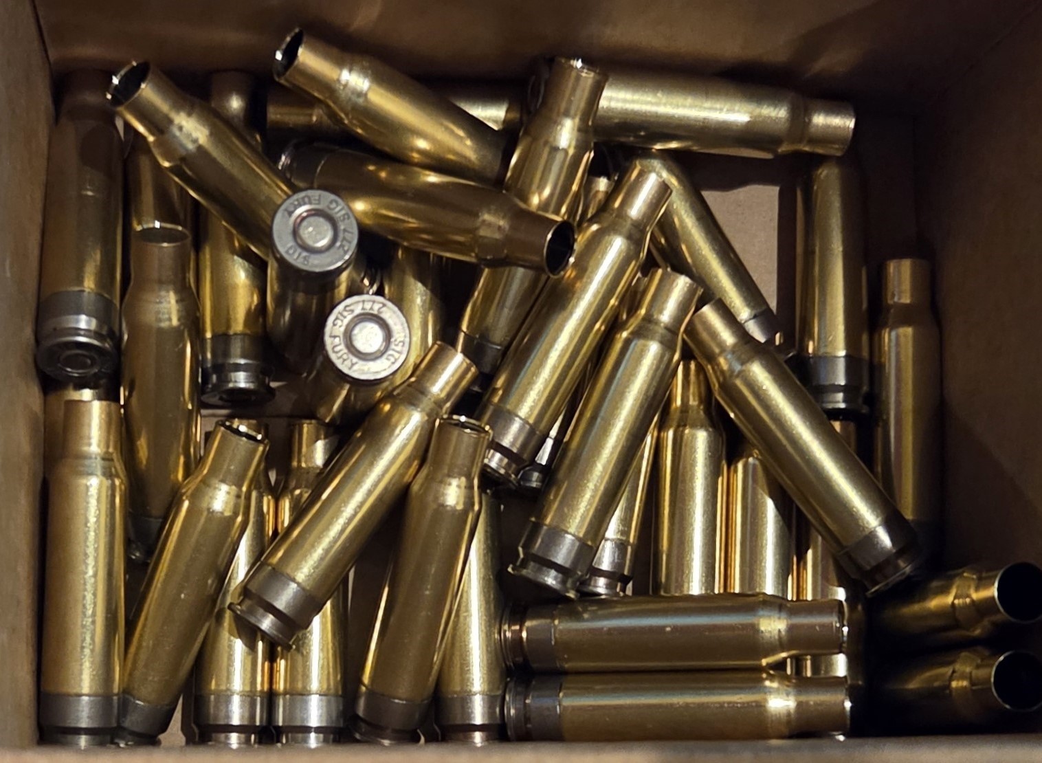 Sig Hybrid Fury cases sized to .308.jpg