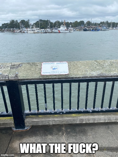 sign2.jpg