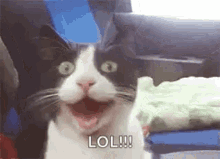 signal-2021-10-28-21-20-55-045.gif