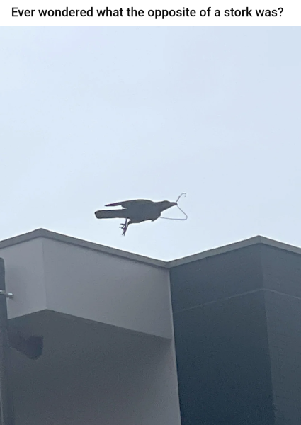 signal-2023-03-26-11-51-10-676.png