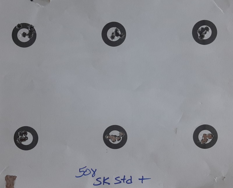 SK Plus.jpg