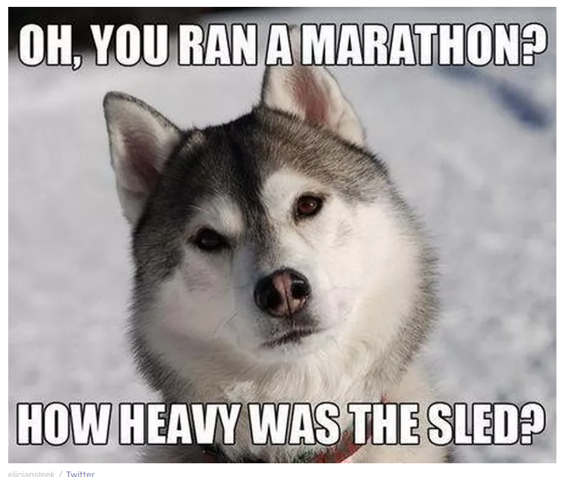 Sled.png