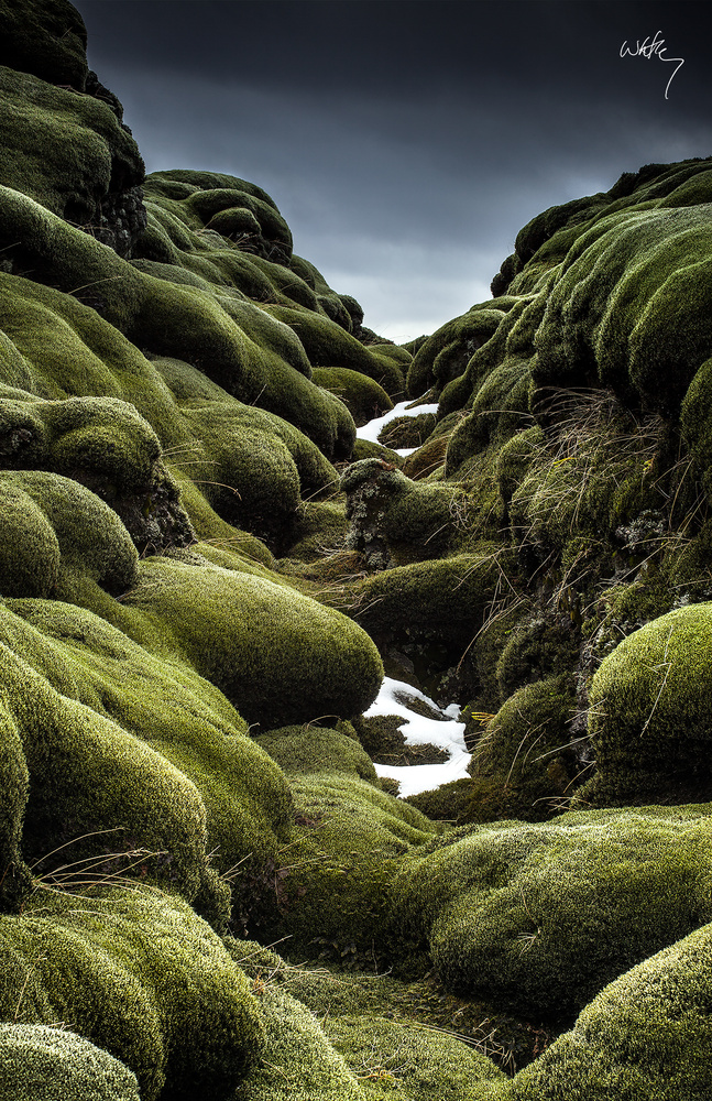 sleeping-earth.signed.1200x.jpg