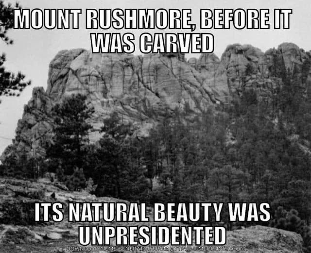 sm_rushmore.jpg