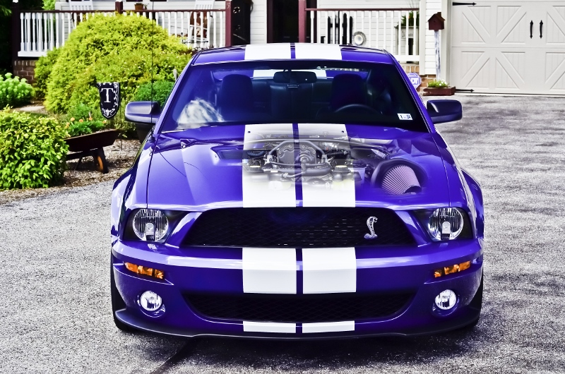 Small_Shelby_002.jpg