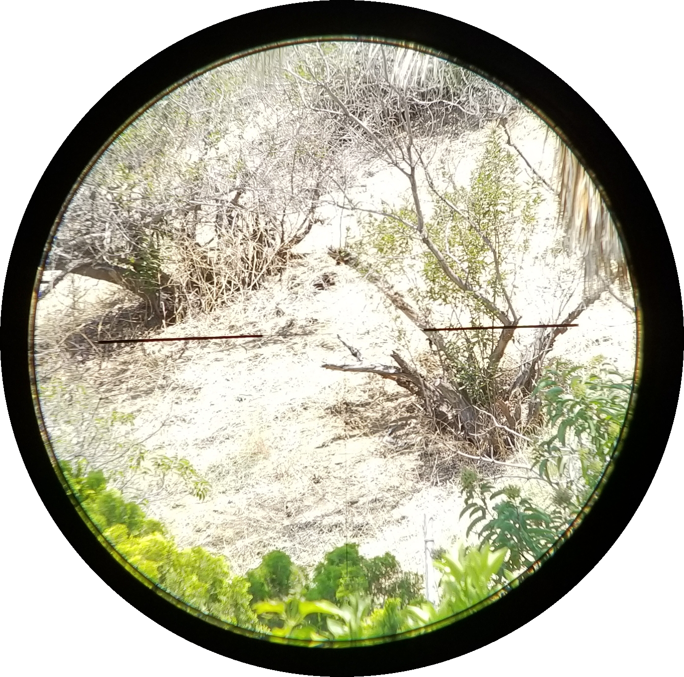SmartSelect_20180704-114527_Gallery.png