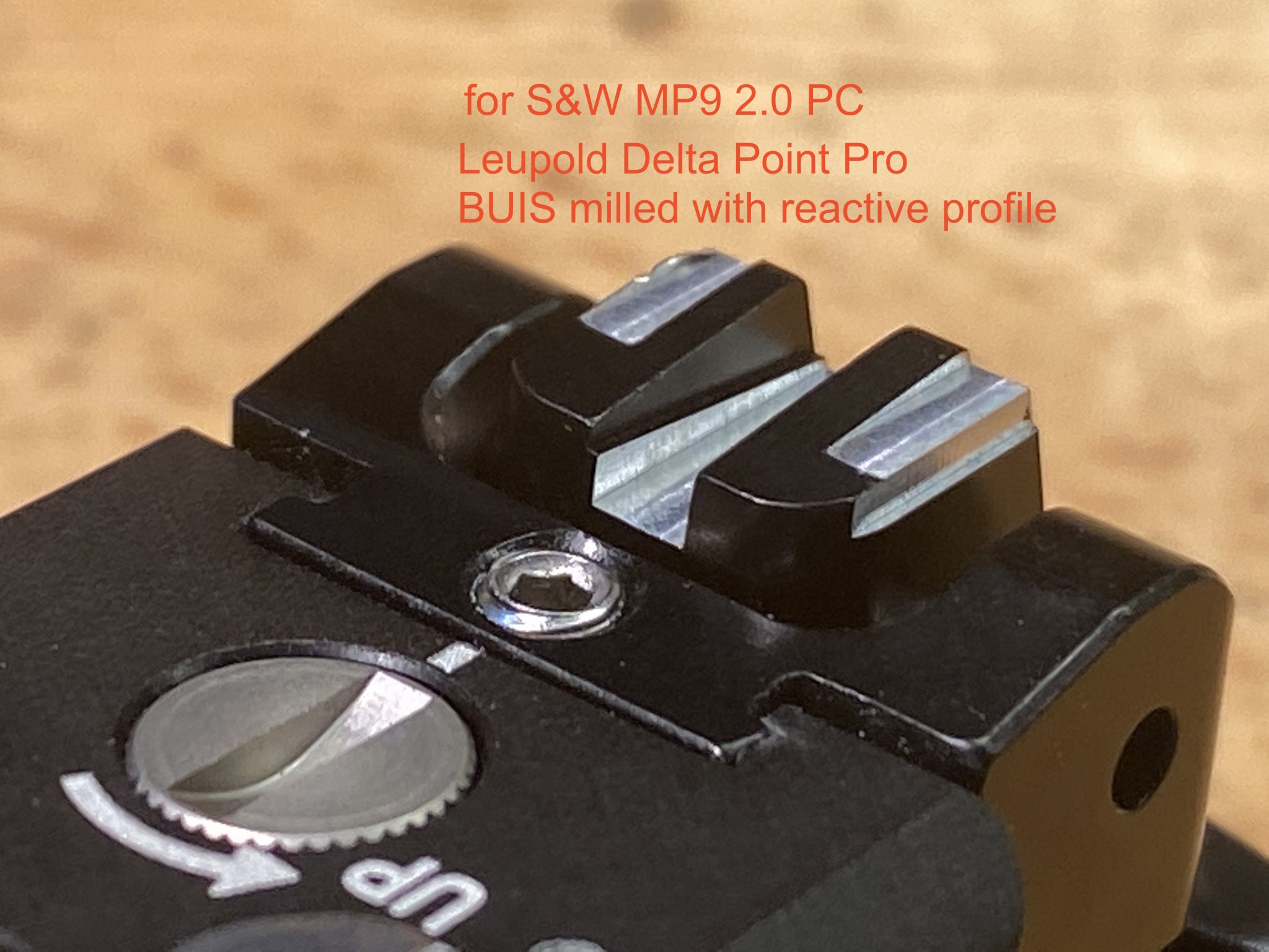 Smith & Wesson M&P 2.0 PC Leupold DP Pro Rear Sight Milled  10.25.20IMG_6757 copy.jpg