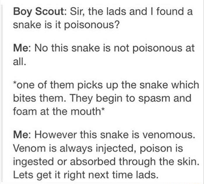 snake.jpg