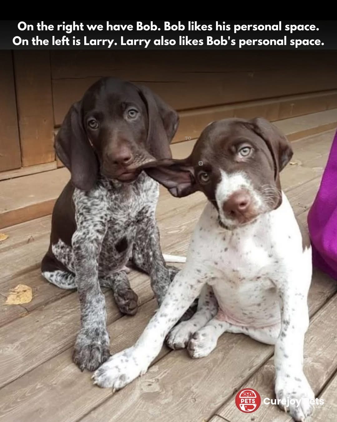 Snapchat-1033423412.jpg