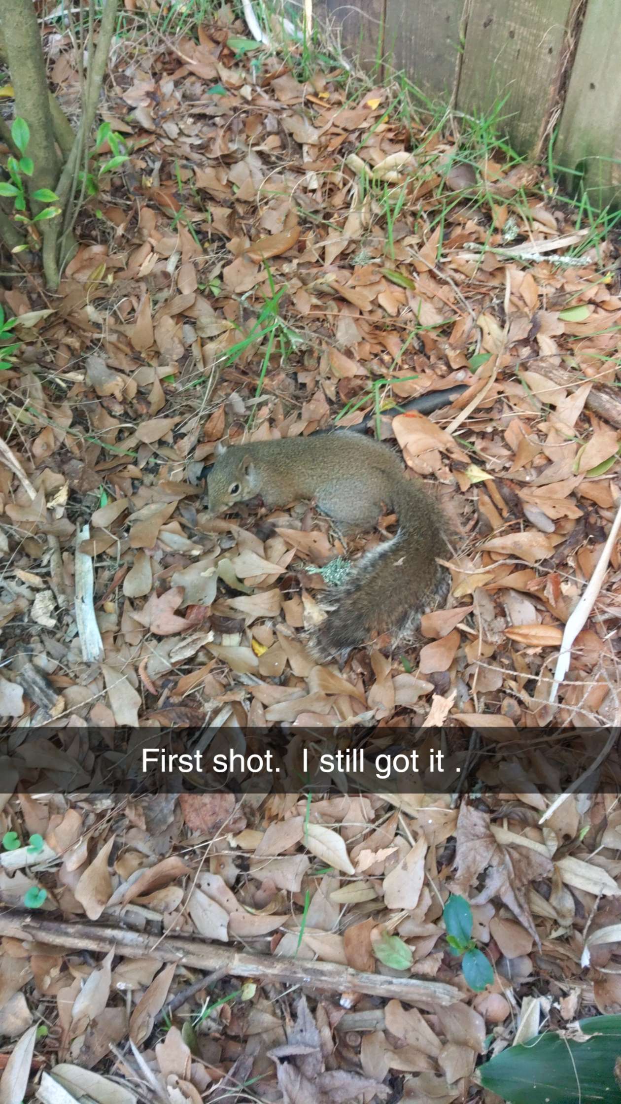 Snapchat-115688833.jpg