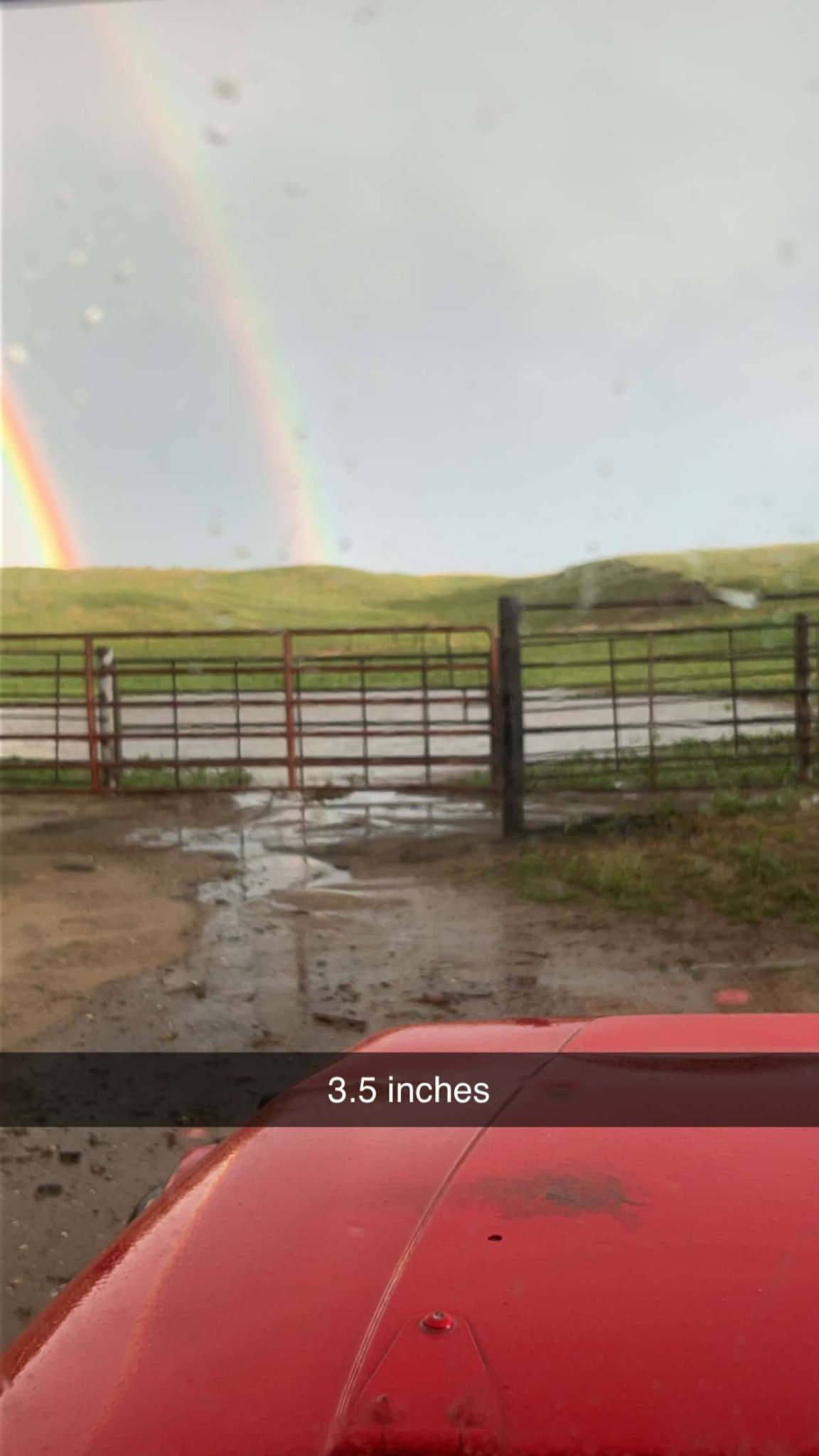 Snapchat-1316421496.jpg