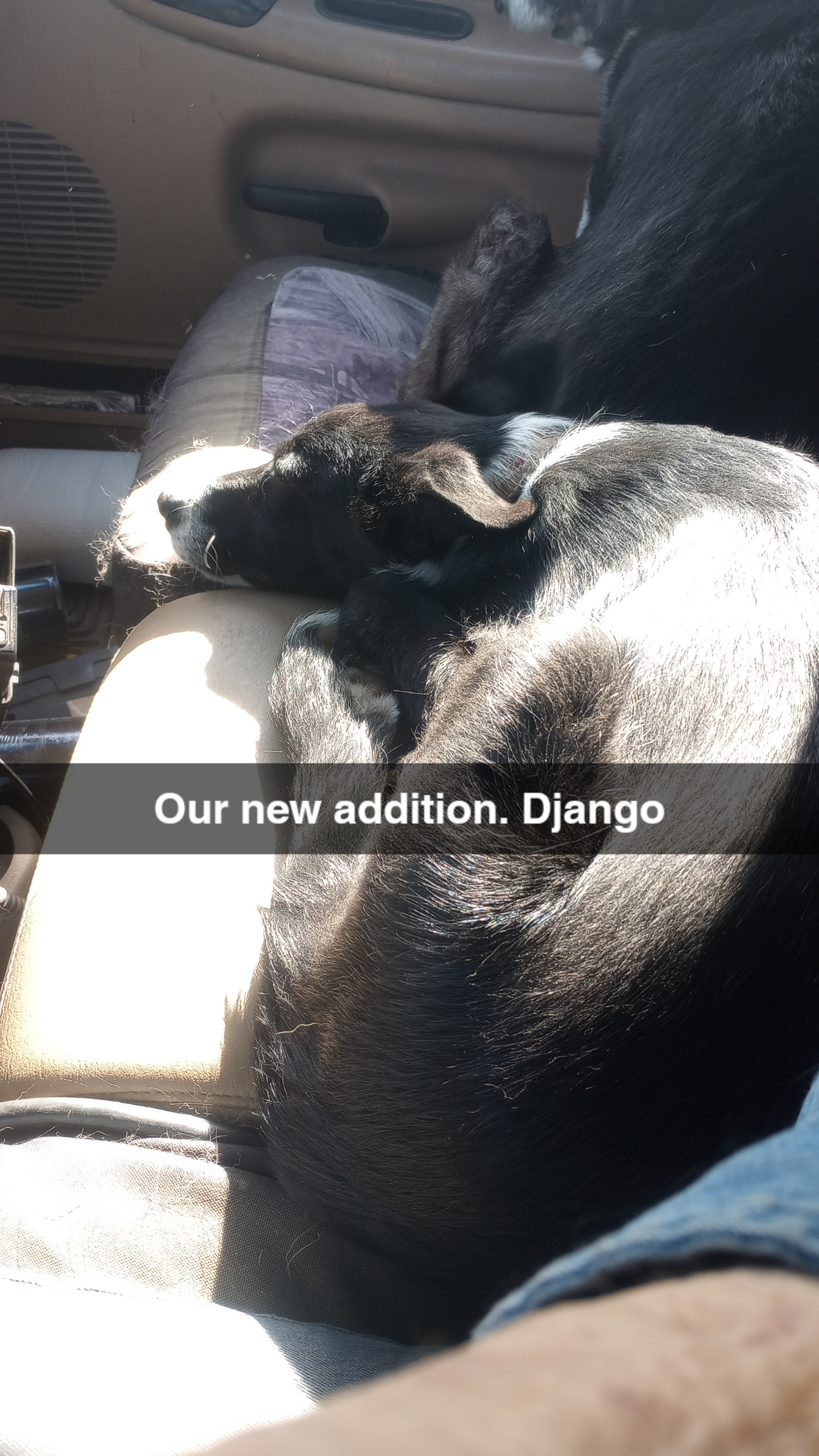 Snapchat-1591737262.jpg