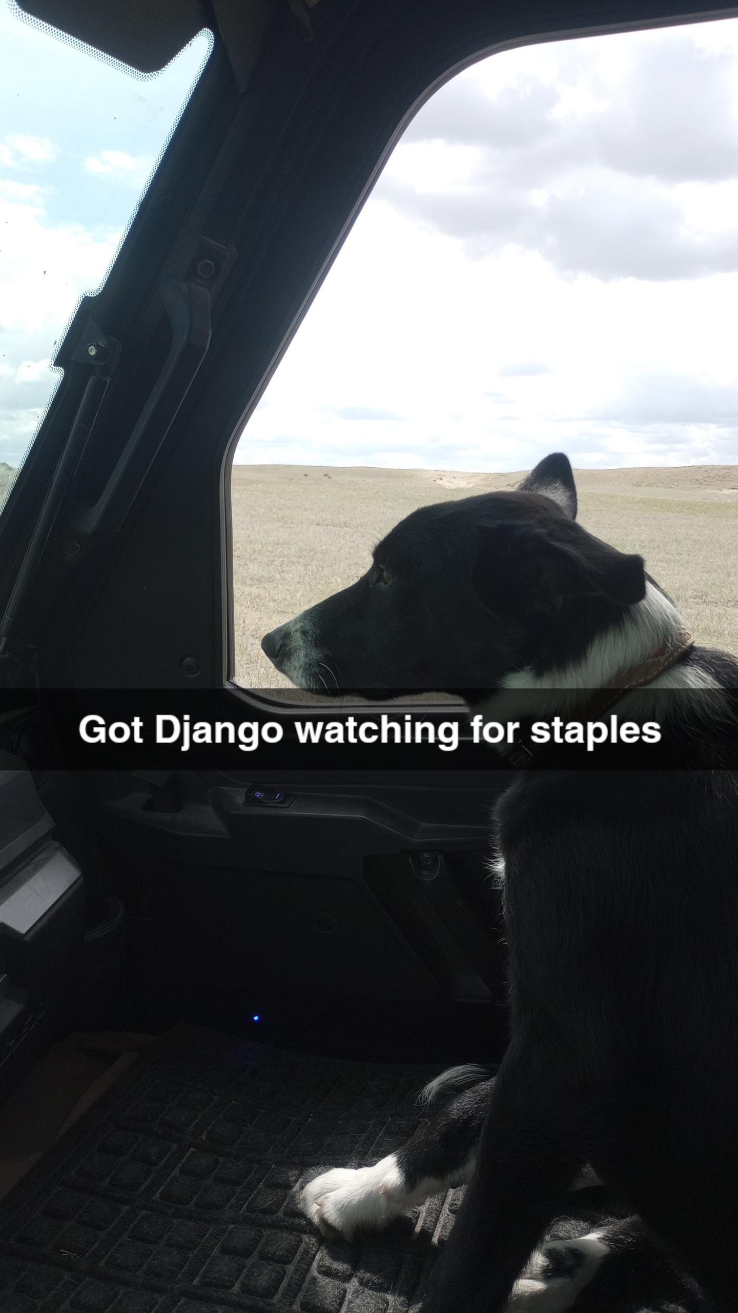 Snapchat-170783698.jpg