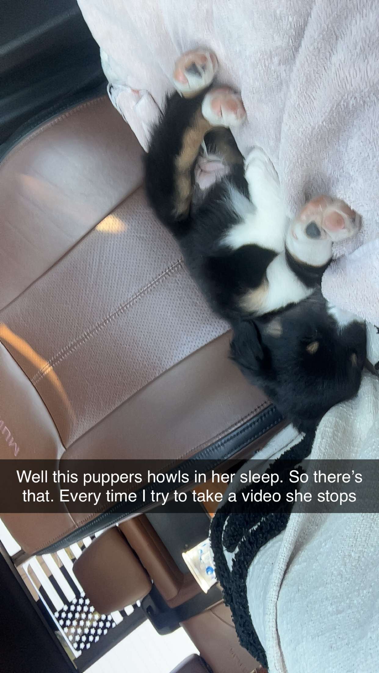 Snapchat-32997892.jpg